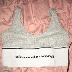 Alexander wang sports bra .